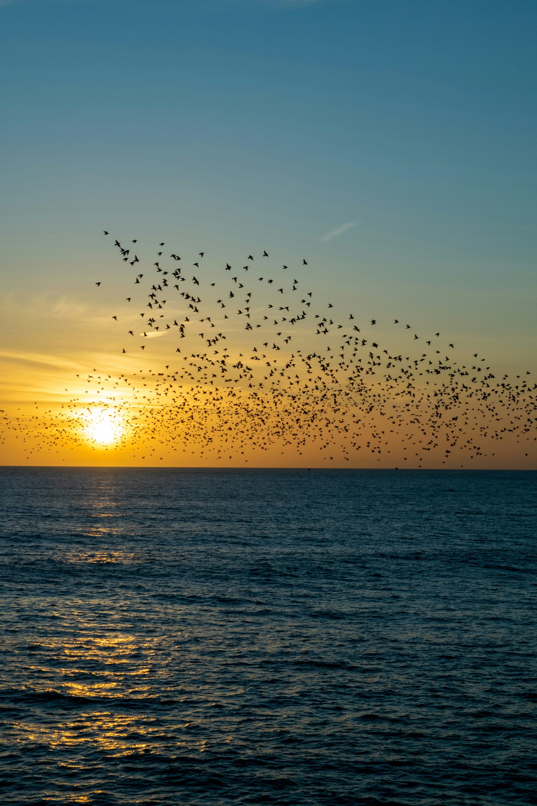 rhys-kentish-D2Qg8NO8gUk-unsplash