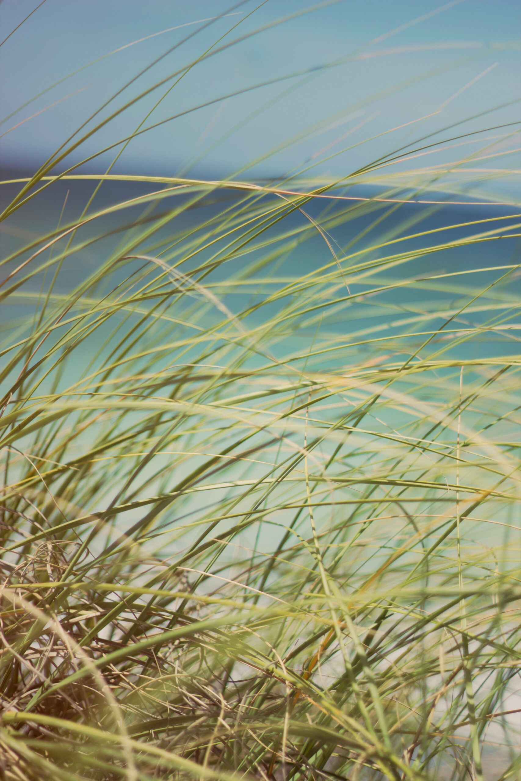 jacob-townsend-bSFKUW__65k-unsplash
